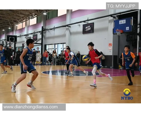 篮球纪实：记录杭州篮球队的成长故事